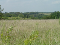 2007 Jack Strawhacker CRP fields
