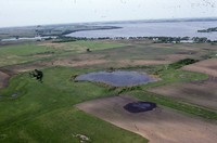 Wetland on the Wyatt Farm.