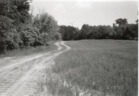 1995  Proposed Terracing Project site on Dale Edmonds' farm