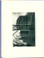 1913 Yearbook