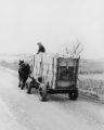Farm freight wagon with corn, 1955