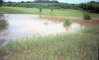 Water runoff drainage area in fields
