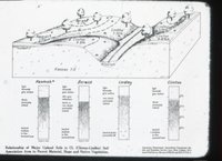 Upland Soil Chart