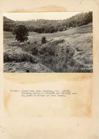 1934 - 1938 Multi-State Photograph Collection  