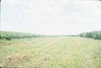 Gary Otto farm.