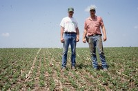 Quad District Award winners Steve and Tim Lundsgaard show off their no-till, drilled bean field.
