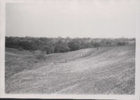 Newly Constructed Terraces on D.H. Murray's Farm .