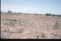 Photograph Collection Of Mrs. Lionel Evans Farm 