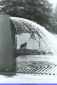Environmental Place