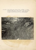 1938 - Sod draw developed under black locust shade