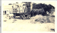 Children on hay wagon with horses behind barn