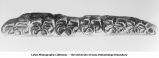 Pleistocene Fauna, inferior molars of the Gladwin Horse, Equus scotti Gidley, section 35, Lyons Township, Iowa, late 1890s or early 1900s