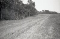 1995 Fields with tire tracks 