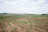 State Conservation Award given to Larry Knaack's farm property.  