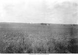 Iowan Drift area topography, Spring Rock Township, Iowa, June 18, 1925