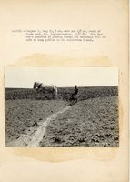 1934 - 1938 Multi-State Photograph Collection  