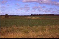 Farmland and Clear Skies.