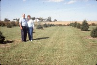 Windbreak on the farm of Don and Phyllis Conley.
