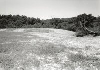 1995  Proposed Terracing Project site on Dale Edmonds' farm