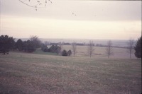 Shelterbelt, 1999