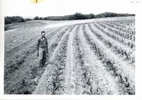 Joe Gerlack Jr. strip cropping, 1963