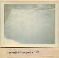 Bernell Walker Pit Pond.