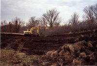 Photograph Collection Labeled Rhodes &amp; DNR, 2003