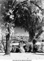 Pentacrest, The University of Iowa, 1940s