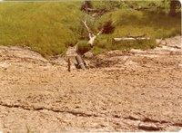 Big Wyacondah Watershed, Site 21-C, Jack Moore Farm