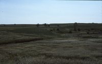 Quad State Progress Award to Frank Todd's farm.