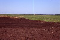 Waterway Construction on the Hummel Farm.