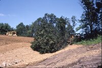1986 Area excavated for pond