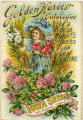 Iowa Seed Company Catalog 1909 Golden Harvest