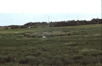 Wetland Restoration Project.
