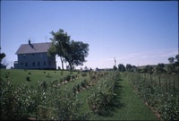 House and garden