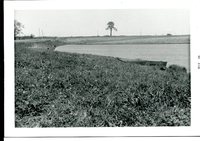 Photograph Collection of Carlson Pond, 1969