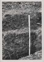 Excavation pit for soil sampling.