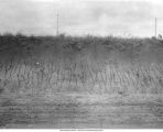 Kansan gumbotil with Iowan till above, Lincoln Township, Iowa, June 24, 1925