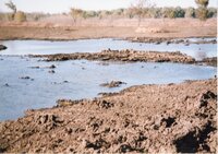 2002  Wetland Construction at Brockway LLLP