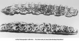 Pleistocene Fauna, upper and lower molars of Equus scotti, the Gladwin horse, late 1890s or early 1900s