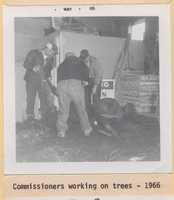 Commissioners Working on Trees.