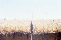 Measuring erosion damage in Silver Township.