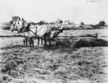 McCormick-Deering hay rake, 1925