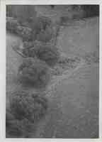 Aerial view of contoured farmland with trees