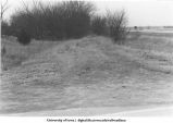 Hillside, Iowa. DMCI