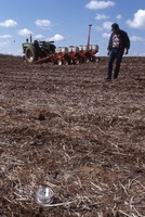 No-till and residue test in sod.
