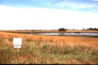 Larry Braby's Farm Before and After a Wetland Construction Project.