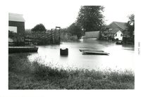 Elliots Farm 