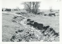 Eldon Stillmunkes gully, 1967