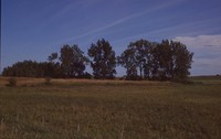 Restoration Project on Smokey Stover's Farm.